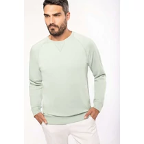 Men's organic cotton crew neck raglan sleeve sweatshirt