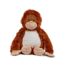 Zippie orangutan