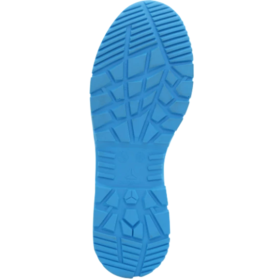 ALPINOS3S_2