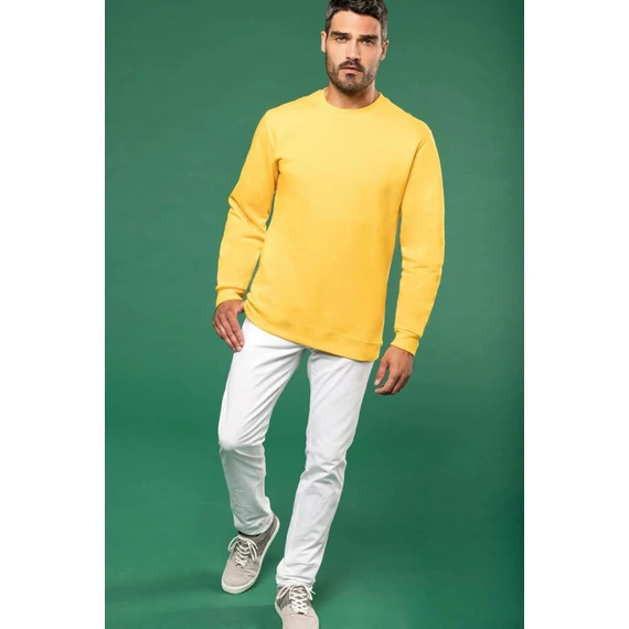 Crew neck sweatshirt