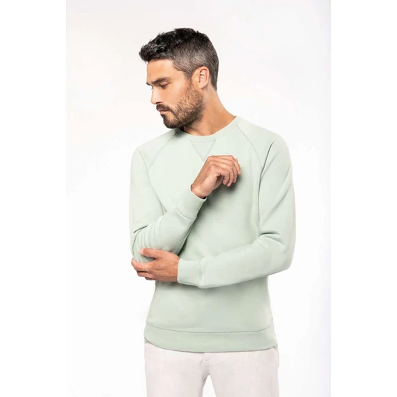 Men's organic cotton crew neck raglan sleeve sweatshirt