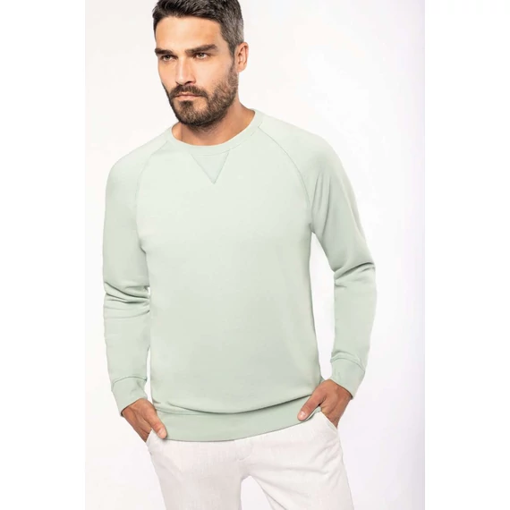 Men's organic cotton crew neck raglan sleeve sweatshirt