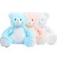 Zippie new baby bear