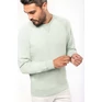 Men's organic cotton crew neck raglan sleeve sweatshirt