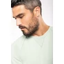 Men's organic cotton crew neck raglan sleeve sweatshirt
