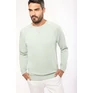 Men's organic cotton crew neck raglan sleeve sweatshirt