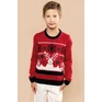 Kids’ crew neck christmas jumper